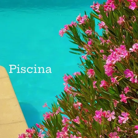 度假居 Refugio Serras Do Porto-luz&martins 帕雷德斯