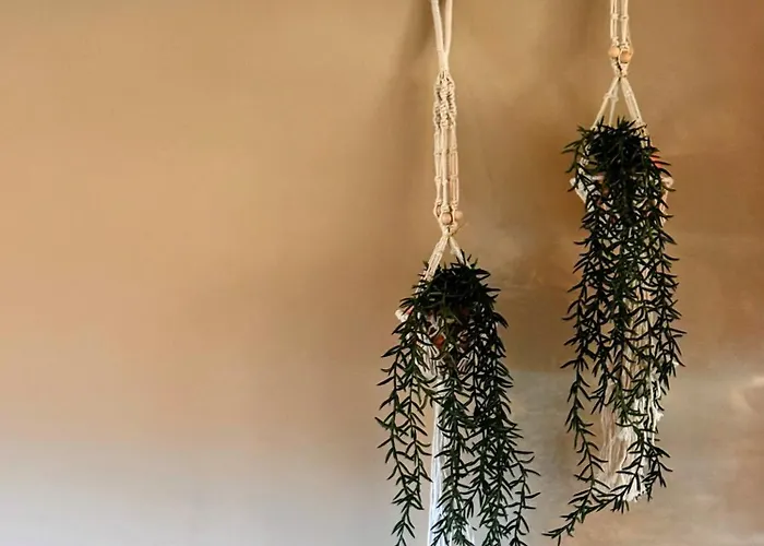 Refugio Serras Do Porto-luz&martins Vakantiehuis